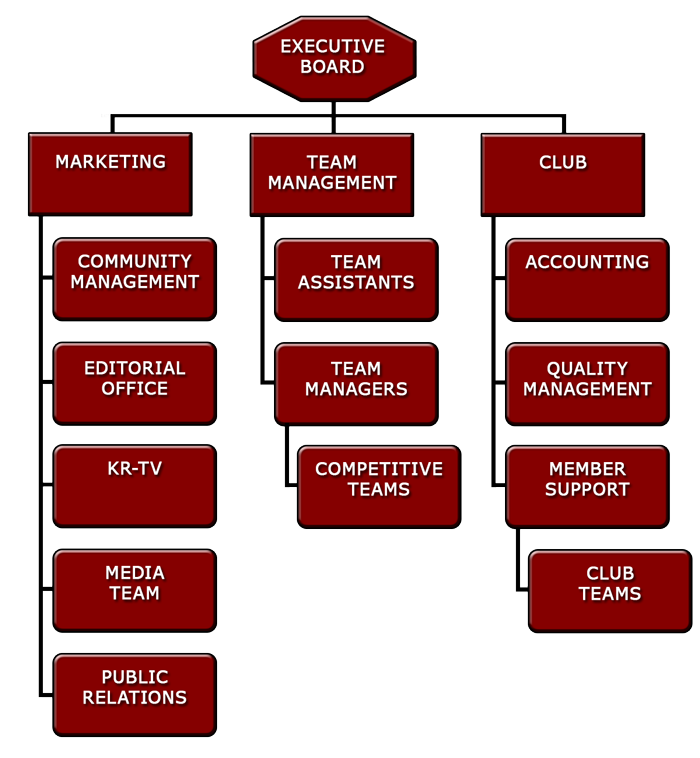 Struktureller Aufbau des Vereins